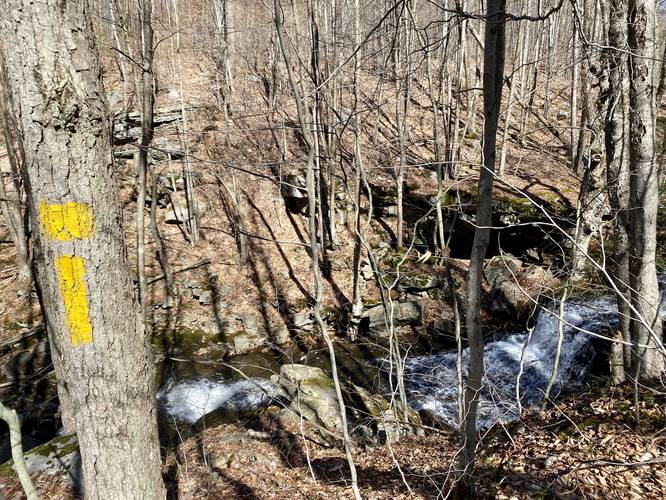 View of MyHikes Falls (aka Upper Nickel Run Falls)