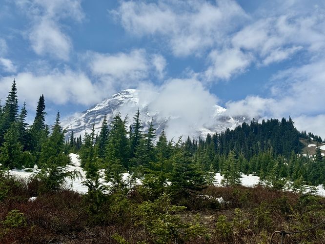 View of Mt. Rainier from the trailhead