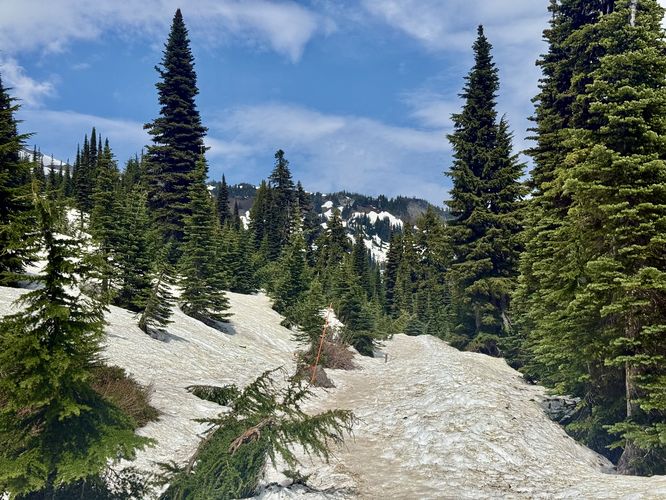 Mid-June snowpack on Mt. Rainier on the hike to Myrtle Falls
