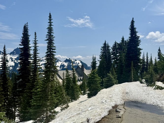 Small section of exposed pavement in mid-June on the hike to Myrtle Falls