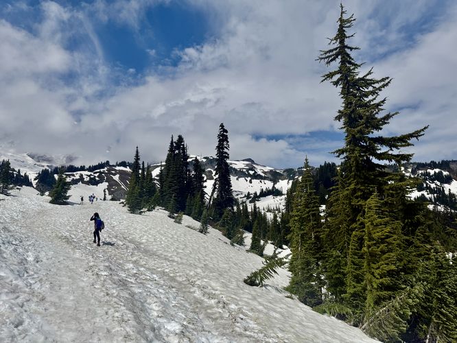 A snowy Myrtle Falls Trail at Mt. Rainier