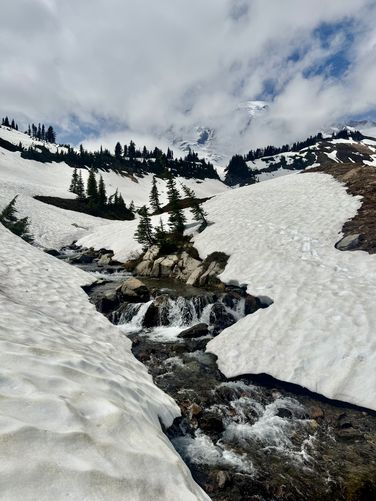 Picture 11 of Myrtle Falls Hike