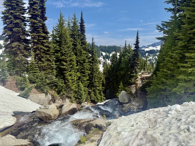 View from the top of Myrtle Falls at the footbridge