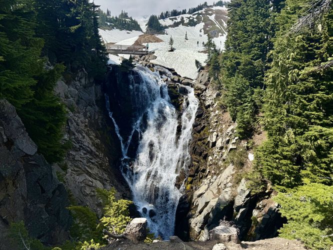 Default image for Myrtle Falls Hike, a 1.1-mile trail in Pierce County, WA (US)
