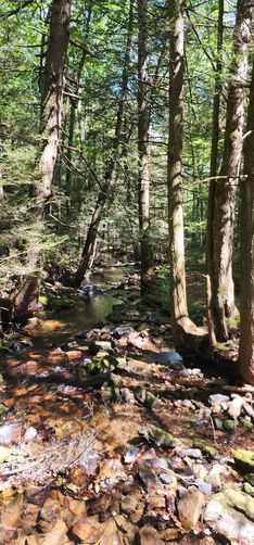 Picture 5 of Naked Mountain Vista Hike