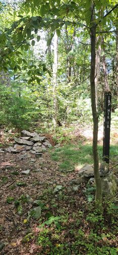 Picture 9 of Naked Mountain Vista Hike