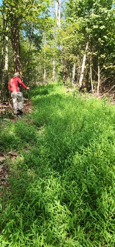 Picture 11 of Naked Mountain Vista Hike