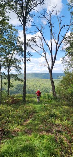Picture 12 of Naked Mountain Vista Hike