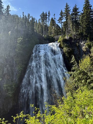 Picture 6 of Narada Falls Trail