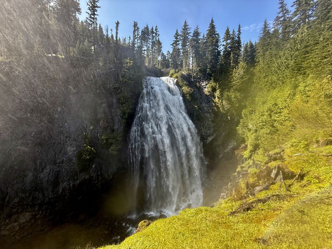 Default image for Narada Falls Trail, a 0.2-mile trail in Ashford, WA (US)