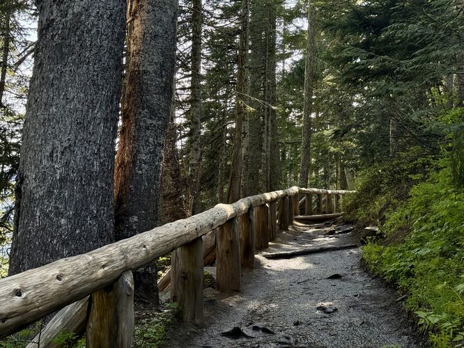 Hiking up the hill from Narada Falls