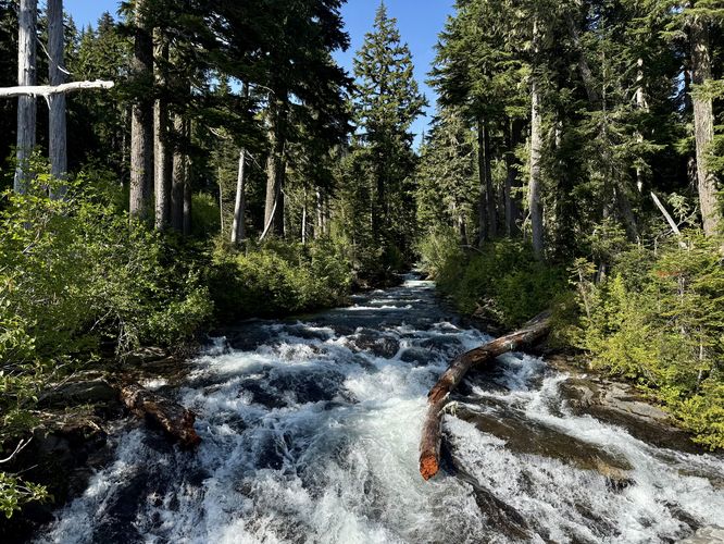 View of the Paradise River upstream from Narada Falls