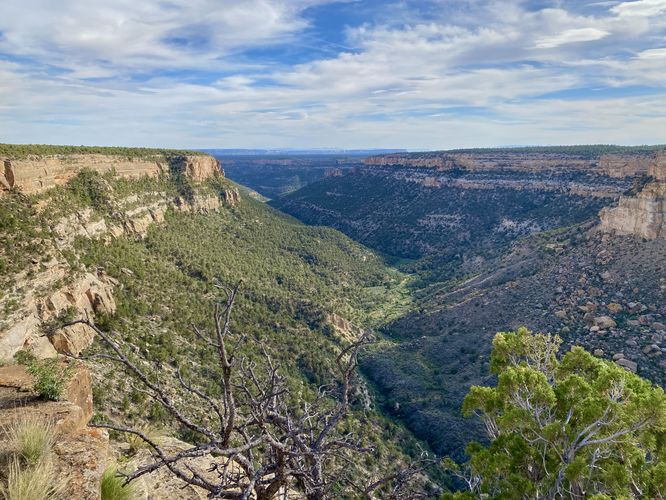 Canyon views from the Navajo Canyon Overlook