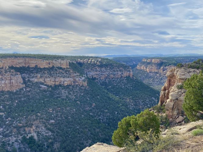 Navajo Canyon Overlook