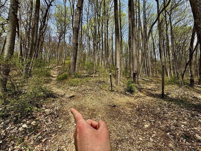 Left-hand turn to reach the pond