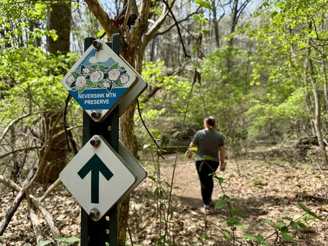Picture 6 of Neversink Mountain Hike