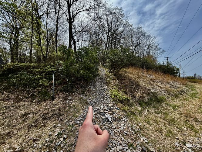 Trail leads to Neversink Mountain summit