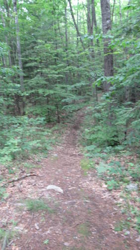 The rail trail start off with a slight down hill slope