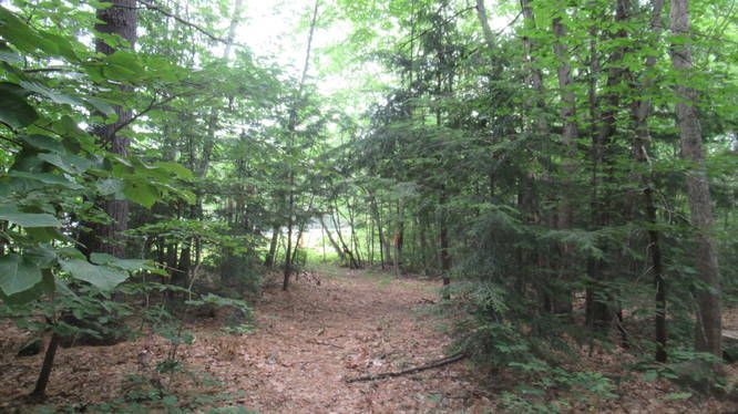 The trail just ends in a clearing just before a heavily traveled  North Mast Road