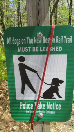 Keep your dog leashed