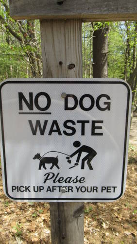 Pick up after your dog