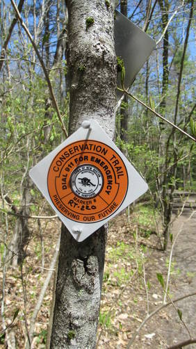 No Blaze markers here, but the Conservation information markers are plenty