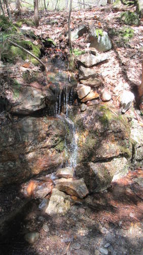Small spring time water pours out of a rock outcrop along the trail