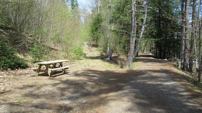 Picnic area with accessible table