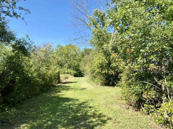 Hiking along the Brown Loop - New Fane Trail