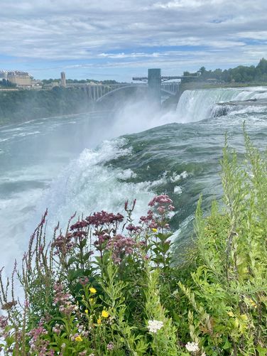 Portrait Top of American Falls from Luna Island with wildflowers