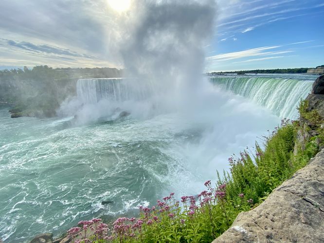 Wildflowers sit below the cliff at Niagara Falls with a view of Horseshoe Falls