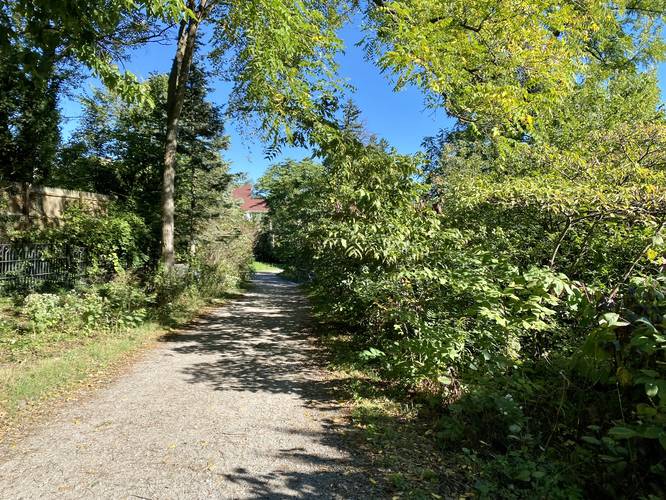 Main trail heads through the Arb