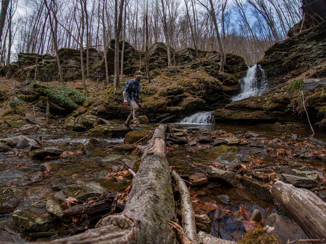 Picture 2 of Nickle Falls March 2025