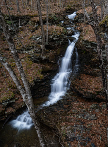 Picture 4 of Nickle Falls March 2025