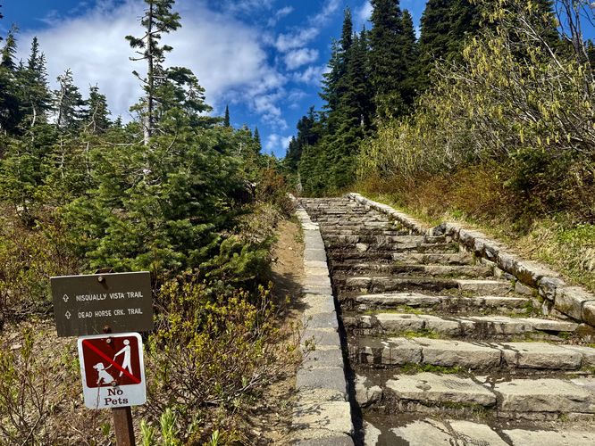 Nisqually Vista Trail trailhead