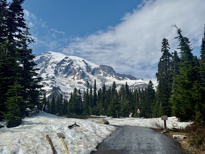 View of Mt. Rainier from the start of the Nisqually Vista Trail