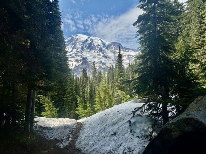 Picture 7 of Nisqually Vista Trail