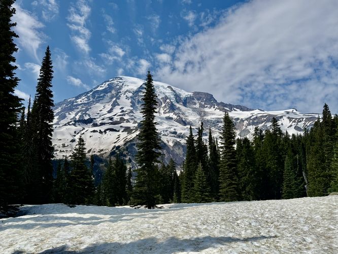 Picture 8 of Nisqually Vista Trail