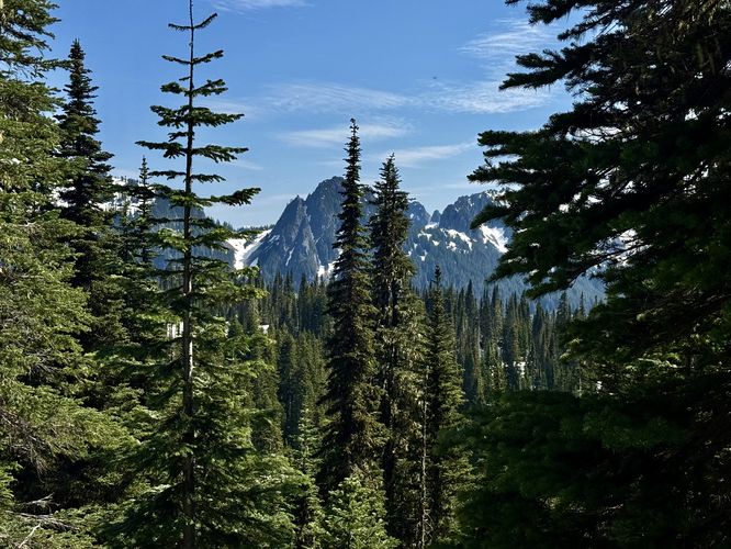 Picture 11 of Nisqually Vista Trail
