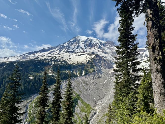 Picture 14 of Nisqually Vista Trail