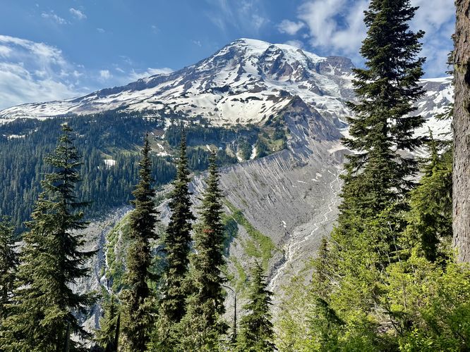 Picture 16 of Nisqually Vista Trail