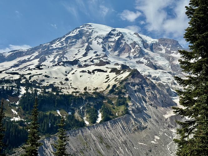 Picture 17 of Nisqually Vista Trail