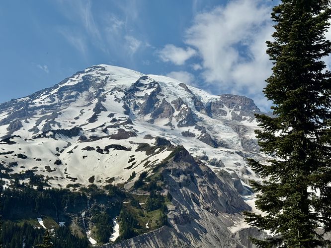 Picture 18 of Nisqually Vista Trail