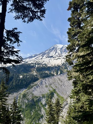Picture 21 of Nisqually Vista Trail