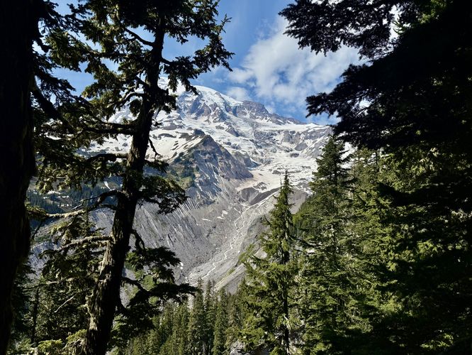 Picture 22 of Nisqually Vista Trail