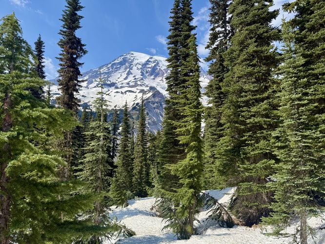 Picture 24 of Nisqually Vista Trail