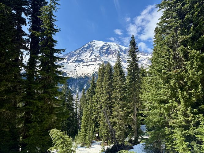 Picture 25 of Nisqually Vista Trail