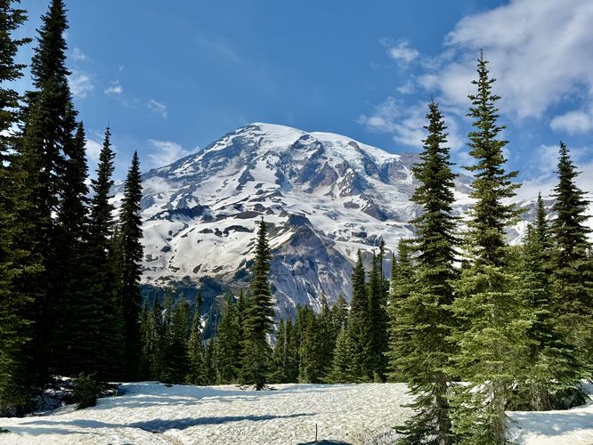 Picture 27 of Nisqually Vista Trail