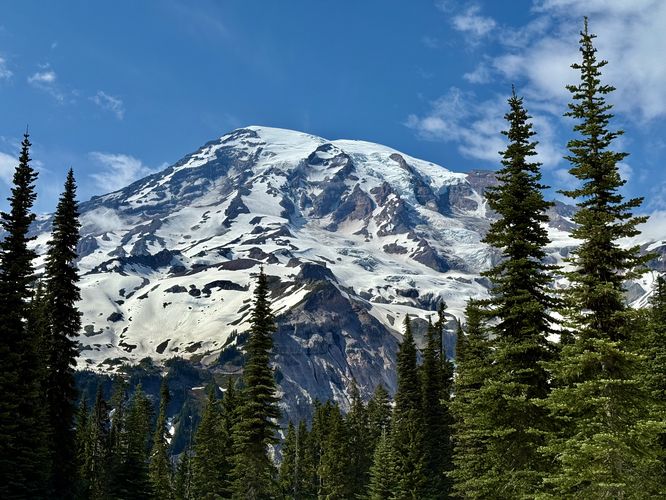 Picture 28 of Nisqually Vista Trail