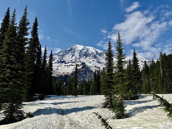 Default picture for Mt. Rainier National Park, located in Carbonado, WA (US)
